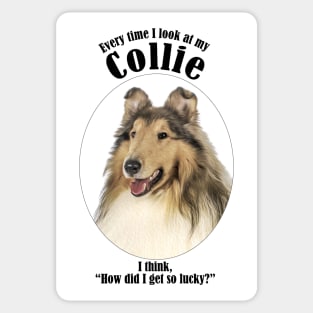 Lucky Collie Sticker